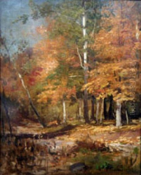 October, Study From Nature - view 1