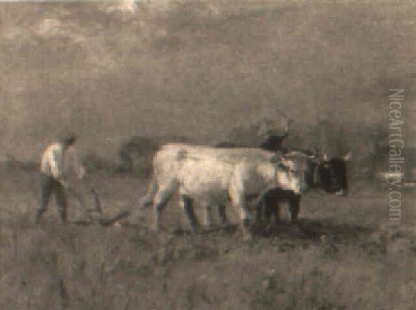 May Ploughing - view 1