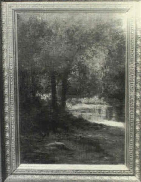 Woodland Scene - view 1