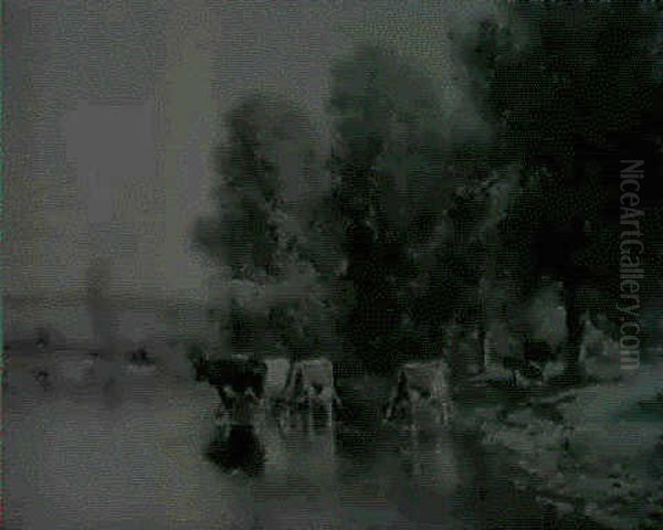 Cows Watering In A River - view 1