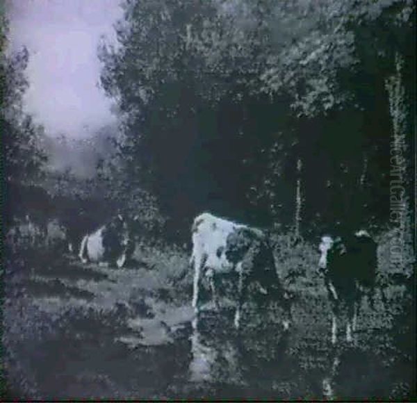 Cows Watering In A Pasture Stream - view 1
