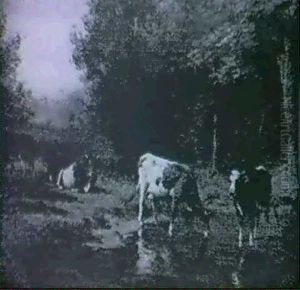 Cows Watering In A Pasture Stream by Thomas Bigelow Craig