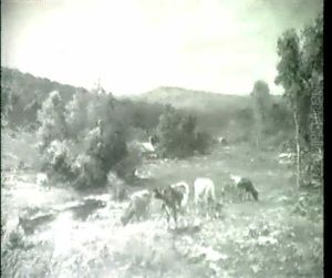 In Birch Creek Valley, Ulster County
