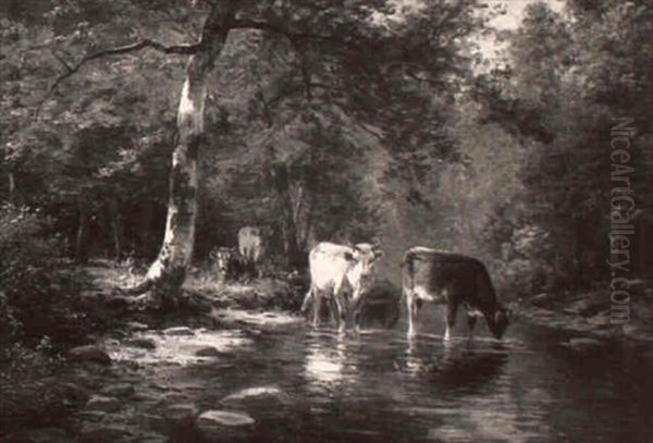 A Quiet Stream - view 1