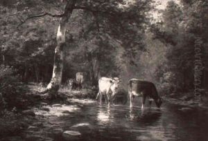 A Quiet Stream A Quiet Stream