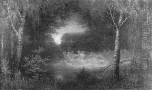 Nachtliche Szene Mit Elfentanz - view 1