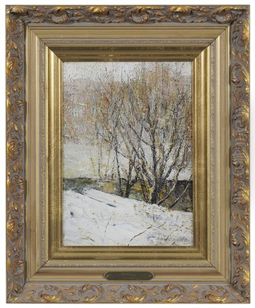 Willows - view 1