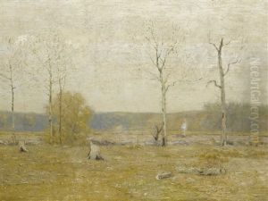 Grey Fields Grey Fields