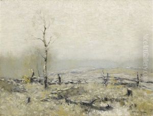 Wintry Landscape