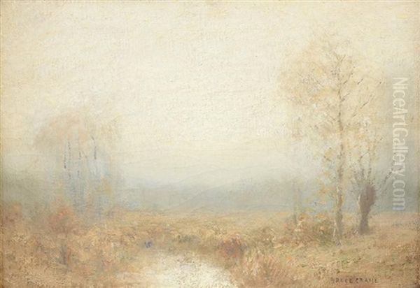 Gray Sunrise - view 1