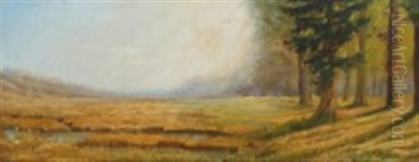 Forest Meadow - view 1