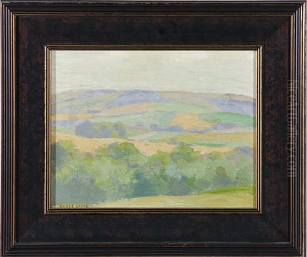 Summer Landscape - view 1