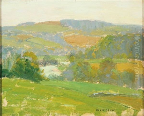Summer Landscape - view 1