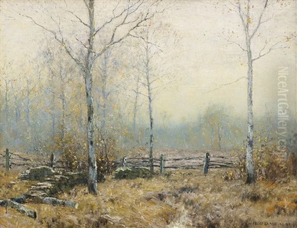 The Old Wood Lot - view 1