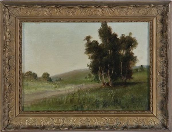 Summer Landscape - view 1