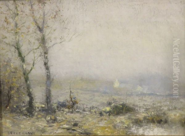 Frosted Fields - view 1