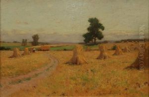 Haystacks In The Field