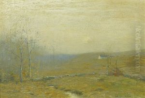 Grey Fields Grey Fields