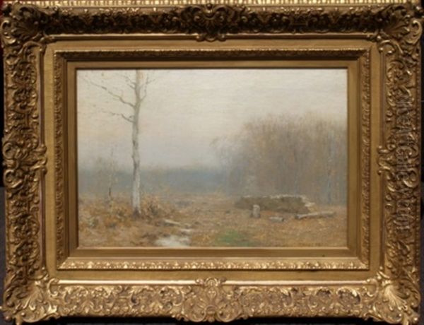 Gray November Morn - view 1