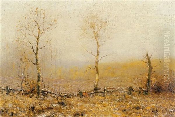 A Fall Morning - view 1