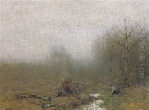 Tranquil Landscape - view 1