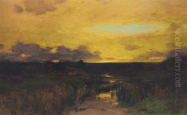 Marshes At Sunset - view 1