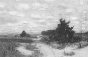 The Road Through The Dunes The Road Through The Dunes
