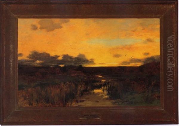 Marshes At Sunset - view 1