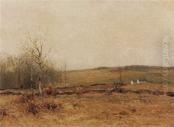 November - view 1