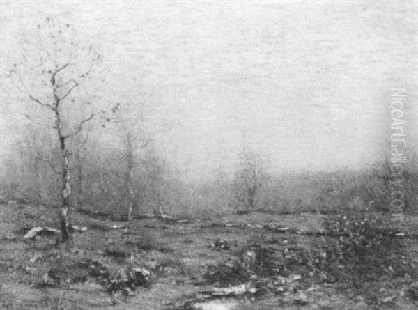 A Fall Morning - view 1