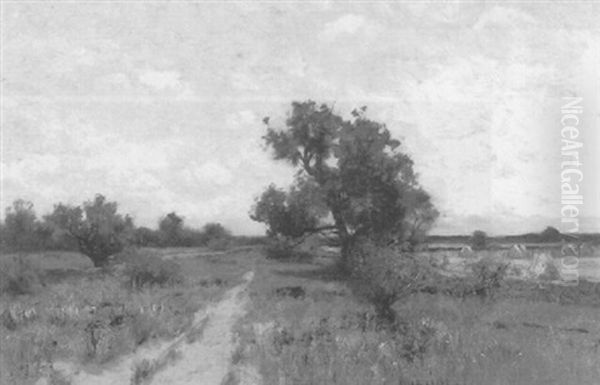 Late Summer Landscape - view 1