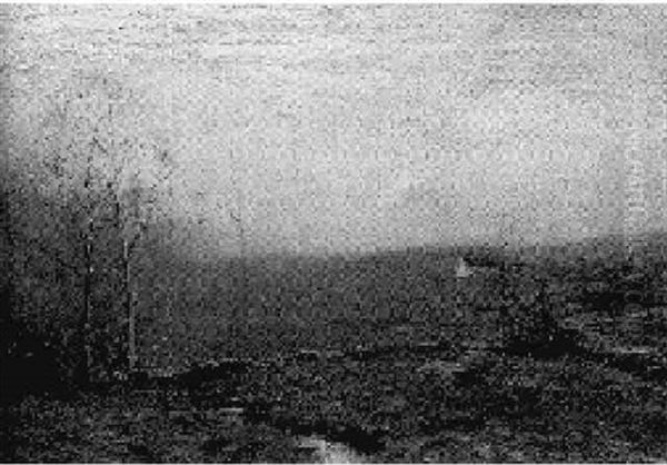 Gray Fields - view 1
