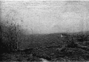 Gray Fields Gray Fields