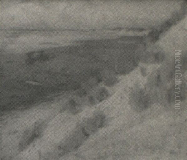 Dunes By The Shore - view 1