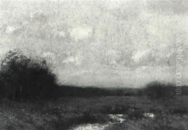 Overcast Afternoon On The Marshes - view 1