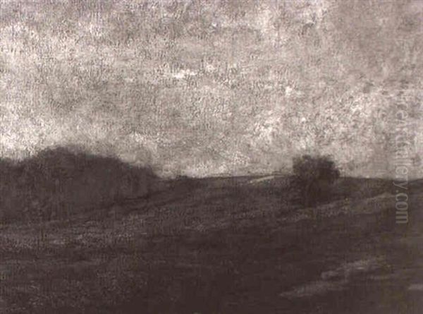 Golden Fields - view 1