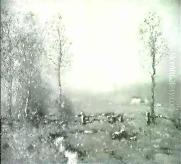 The Old Fence - view 1