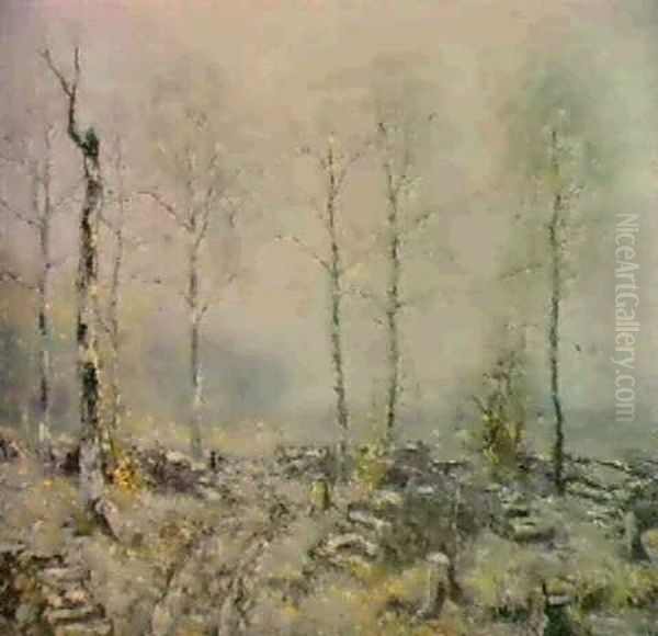 Old Wood Lot - view 1