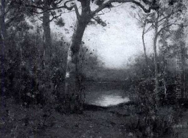 Path To The Pond - view 1