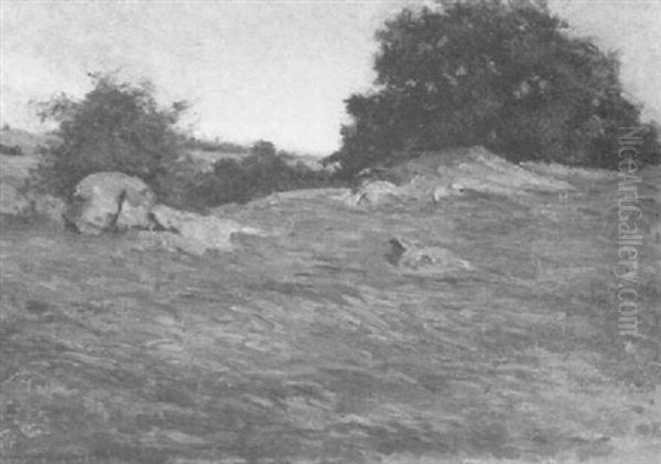 Meadow Landscape - view 1