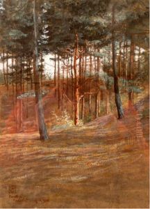 Forest Of Hardelot thumbnail