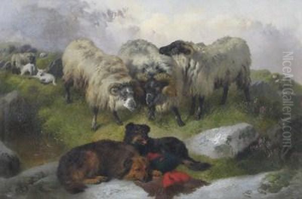 Sheep And Dogs In A Highland Landscape - view 1