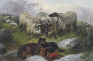 Sheep And Dogs In A Highland Landscape by Richard Ansdell