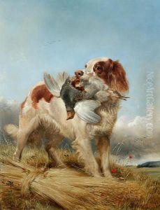 English Setter Retrieving Partridge