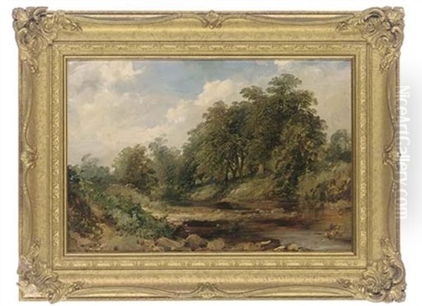 A Peaceful River Landscape - view 1