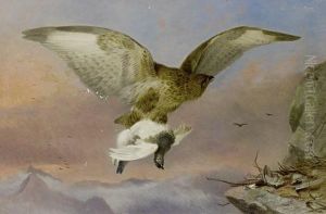 Buzzard With Ptarmigan by Richard Ansdell