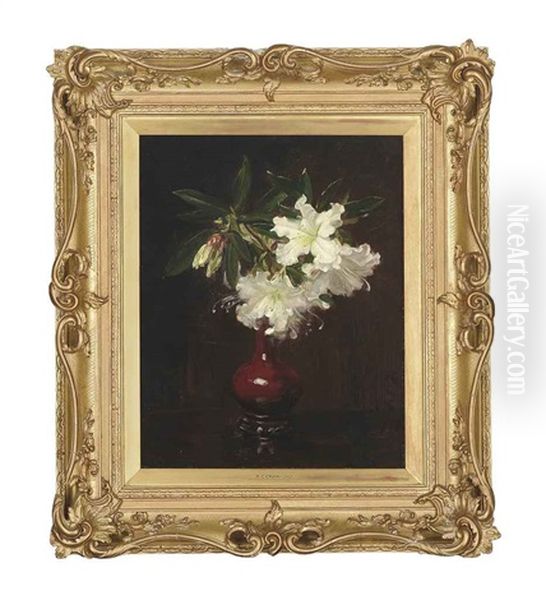Lilies - view 1