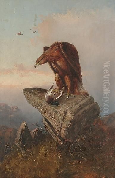 An Eagle And Its Prey On A Rock - view 1