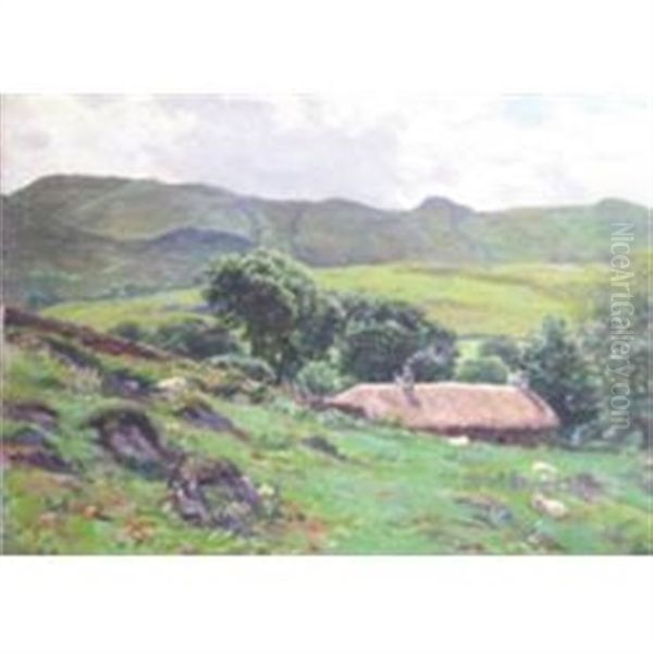 Sheep Grazing Near The Cottage - view 1