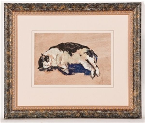 Sleeping Cat - view 1